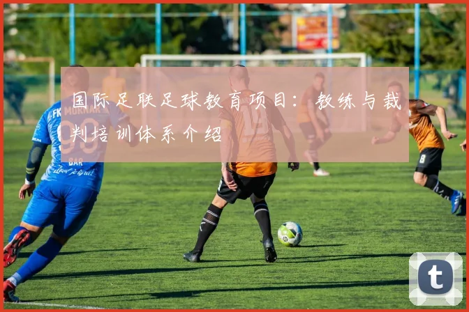 国际足联足球教育项目：教练与裁判培训体系介绍